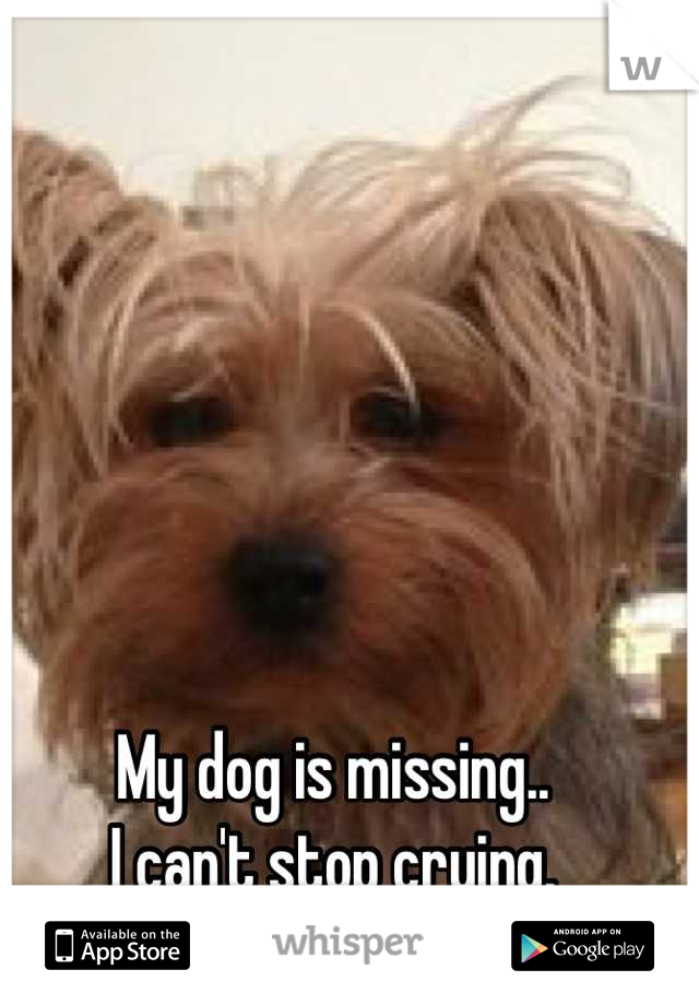 My dog is missing.. 
I can't stop crying.