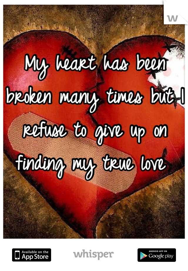 My heart has been broken many times but I refuse to give up on finding my true love 