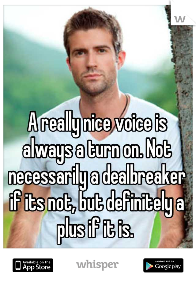 A really nice voice is always a turn on. Not necessarily a dealbreaker if its not, but definitely a plus if it is. 