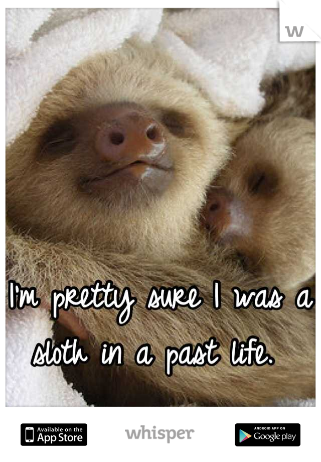 I'm pretty sure I was a sloth in a past life. 