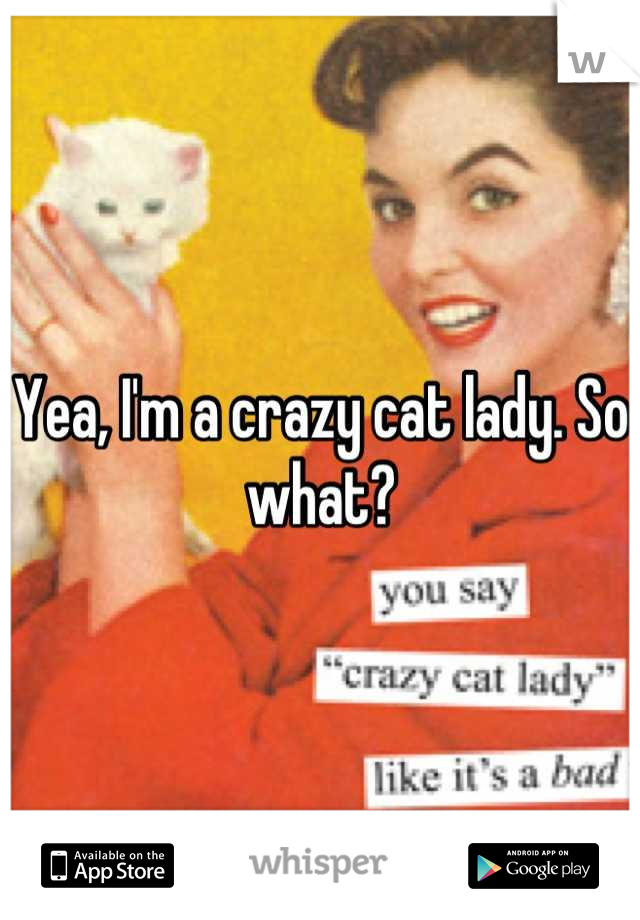 Yea, I'm a crazy cat lady. So what?