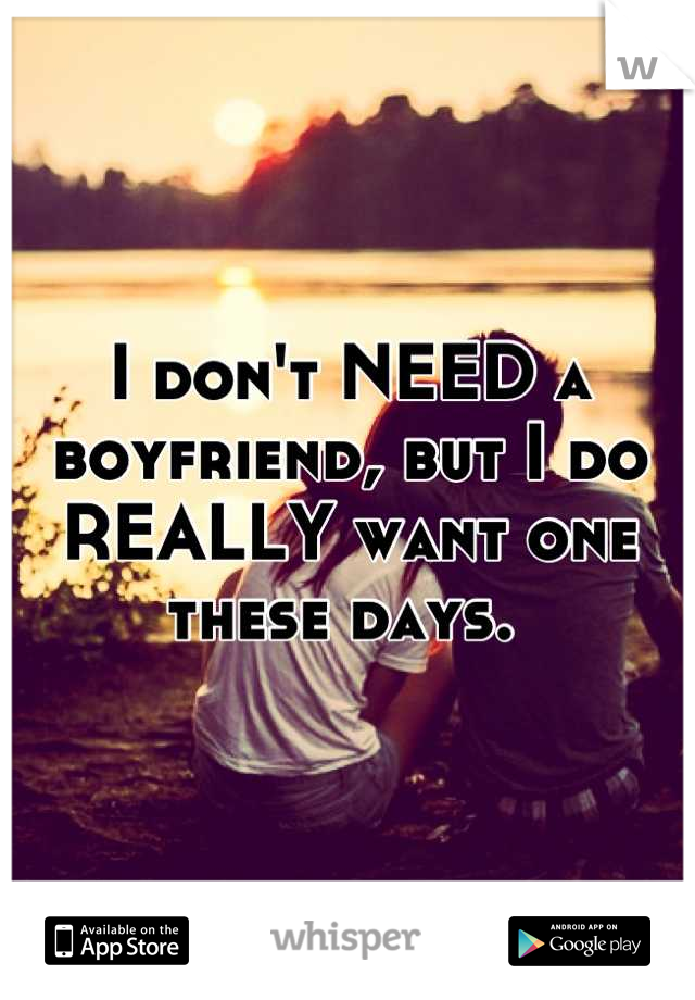 I don't NEED a boyfriend, but I do REALLY want one these days. 
