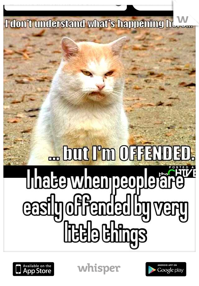 I hate when people are easily offended by very little things