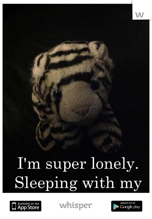 I'm super lonely. Sleeping with my tiger friend tonight.