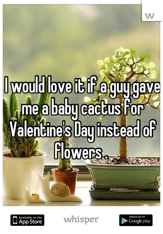 I would love it if a guy gave me a baby cactus for Valentine's Day instead of flowers . 