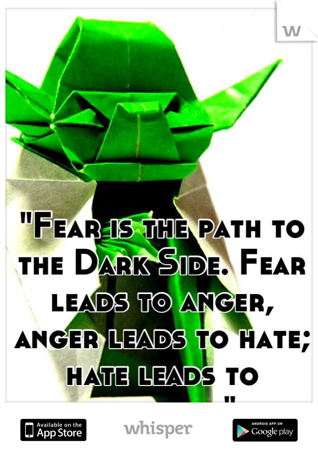 "Fear is the path to the Dark Side. Fear leads to anger, anger leads to hate; hate leads to suffering"