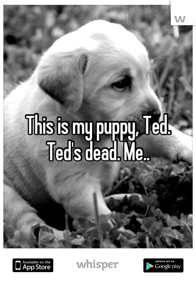 This is my puppy, Ted.
Ted's dead. Me..
