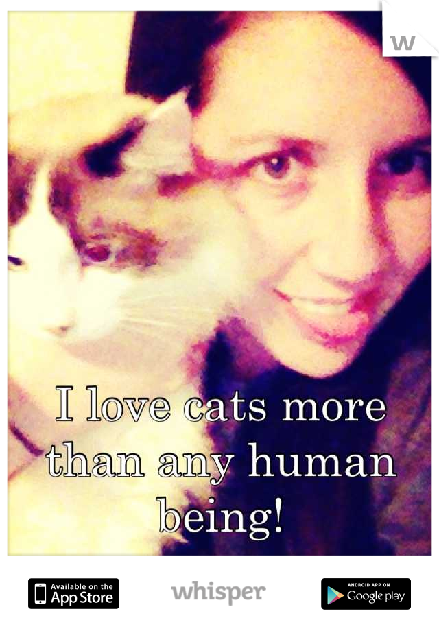 I love cats more than any human being!