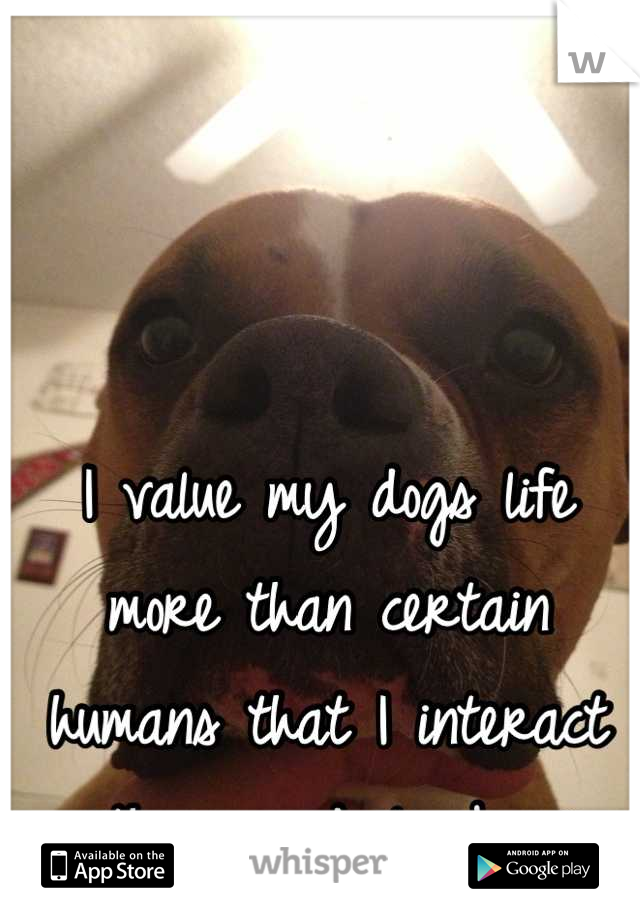 I value my dogs life more than certain humans that I interact with on a daily basis.