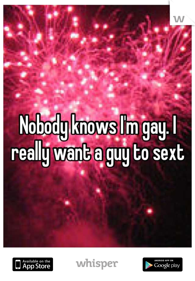 Nobody knows I'm gay. I really want a guy to sext