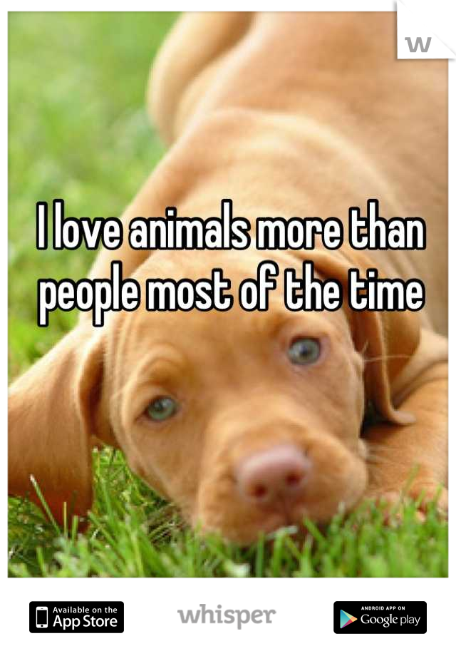 I love animals more than people most of the time