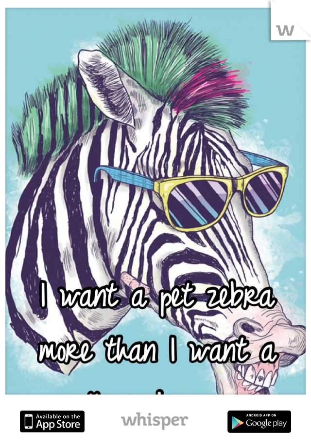 I want a pet zebra more than I want a college degree. 