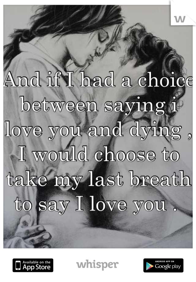 And if I had a choice between saying i love you and dying , I would choose to take my last breath to say I love you . 