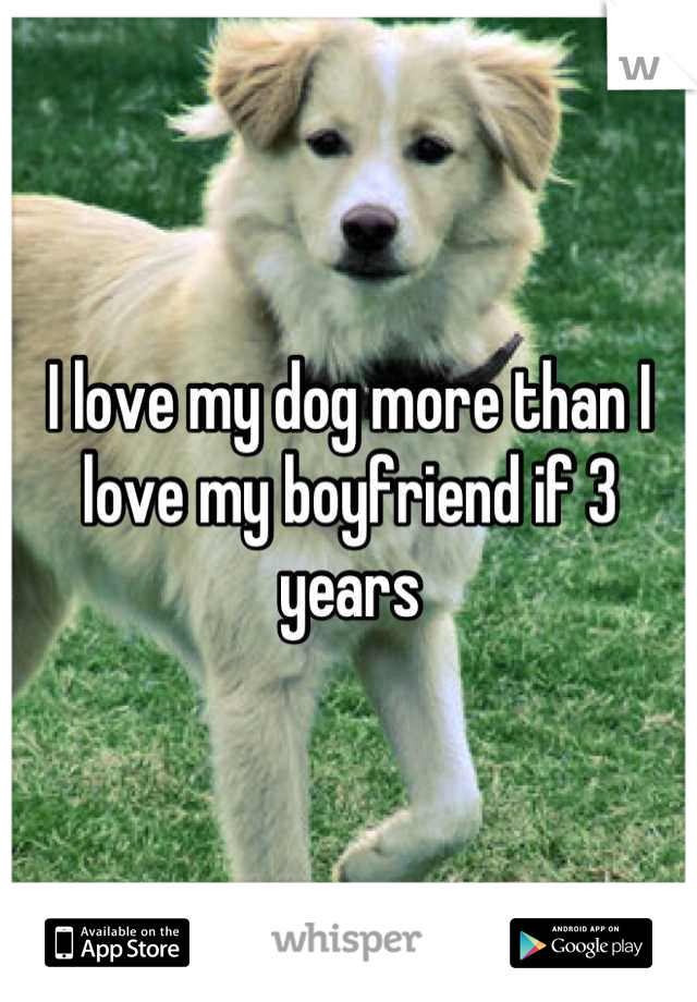I love my dog more than I love my boyfriend if 3 years