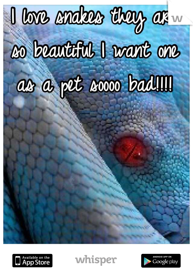 I love snakes they are so beautiful I want one as a pet soooo bad!!!!
