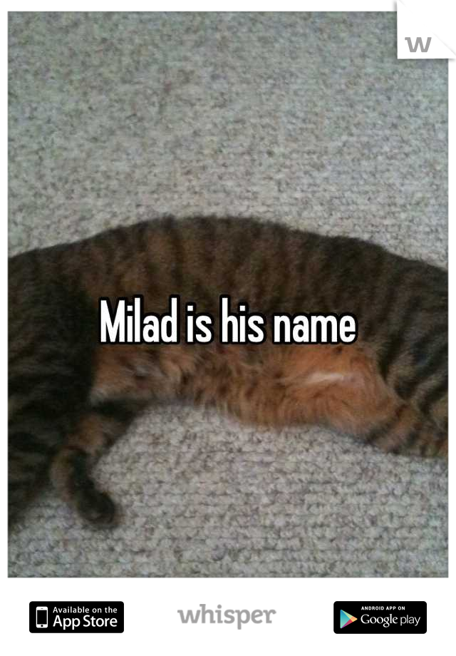 Milad is his name