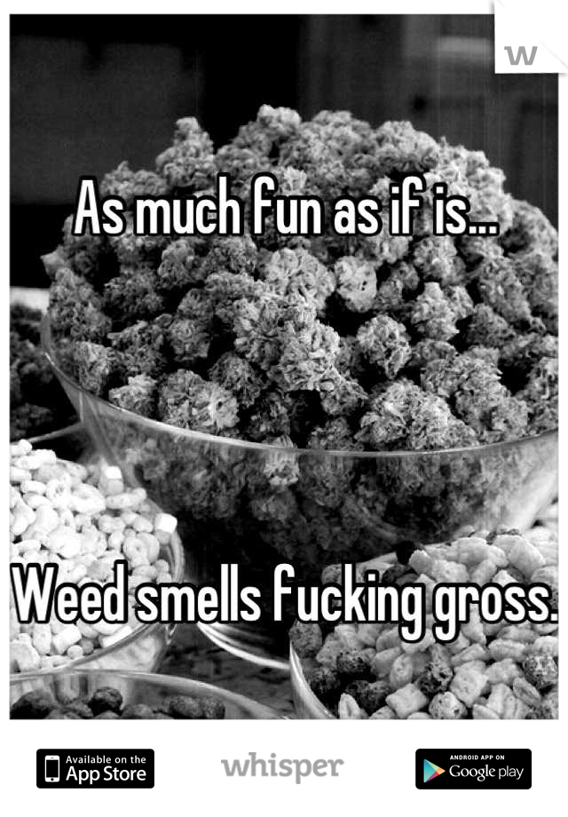 As much fun as if is...




Weed smells fucking gross. 