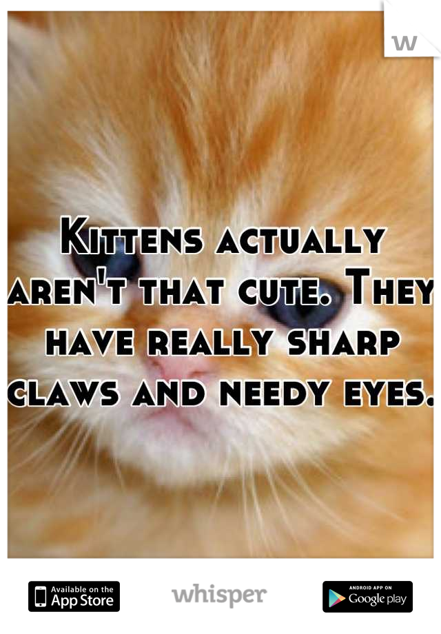 Kittens actually aren't that cute. They have really sharp claws and needy eyes.