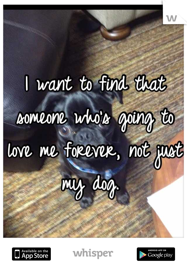 I want to find that someone who's going to love me forever, not just my dog. 