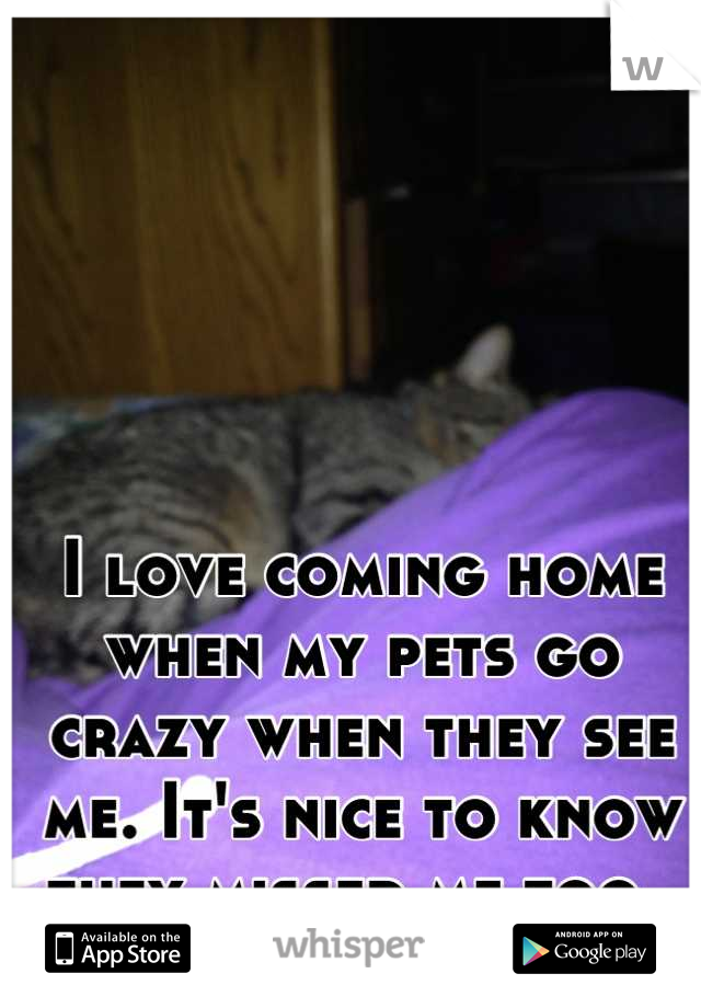 I love coming home when my pets go crazy when they see me. It's nice to know they missed me too. 