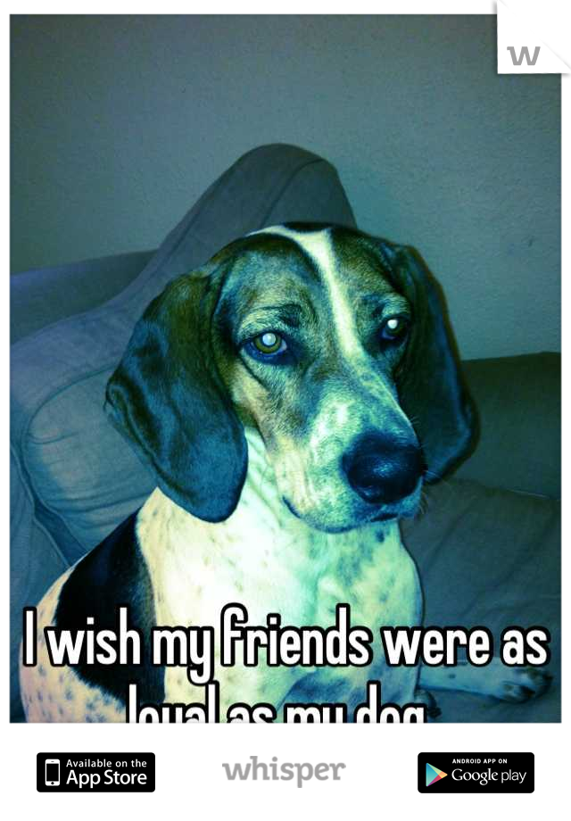 I wish my friends were as loyal as my dog. 
