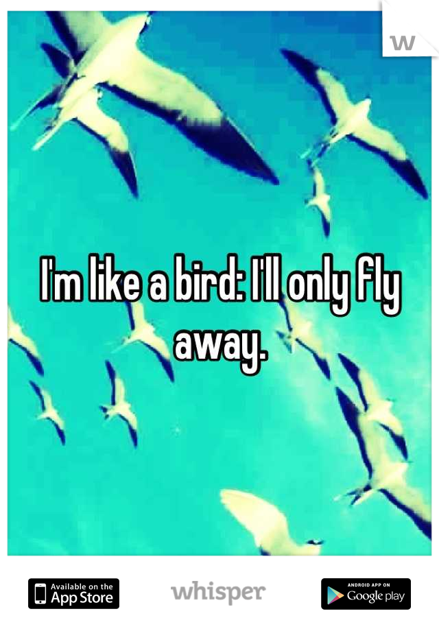 I'm like a bird: I'll only fly away.
