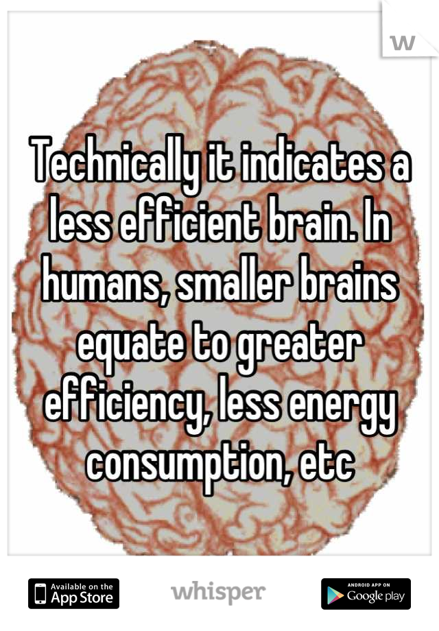 Technically it indicates a less efficient brain. In humans, smaller brains equate to greater efficiency, less energy consumption, etc