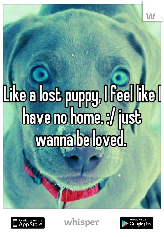 Like a lost puppy, I feel like I have no home. :/ just wanna be loved. 