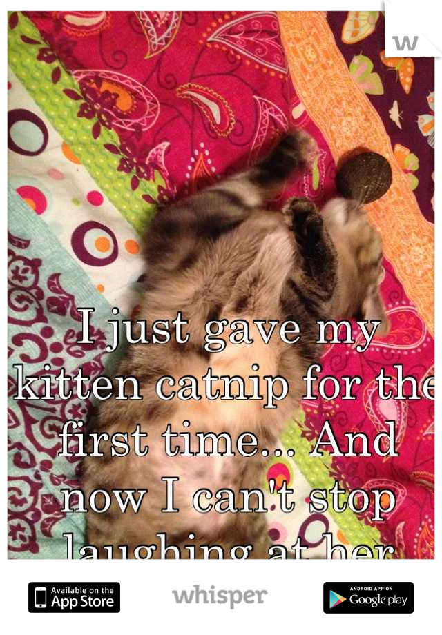 I just gave my kitten catnip for the first time... And now I can't stop laughing at her