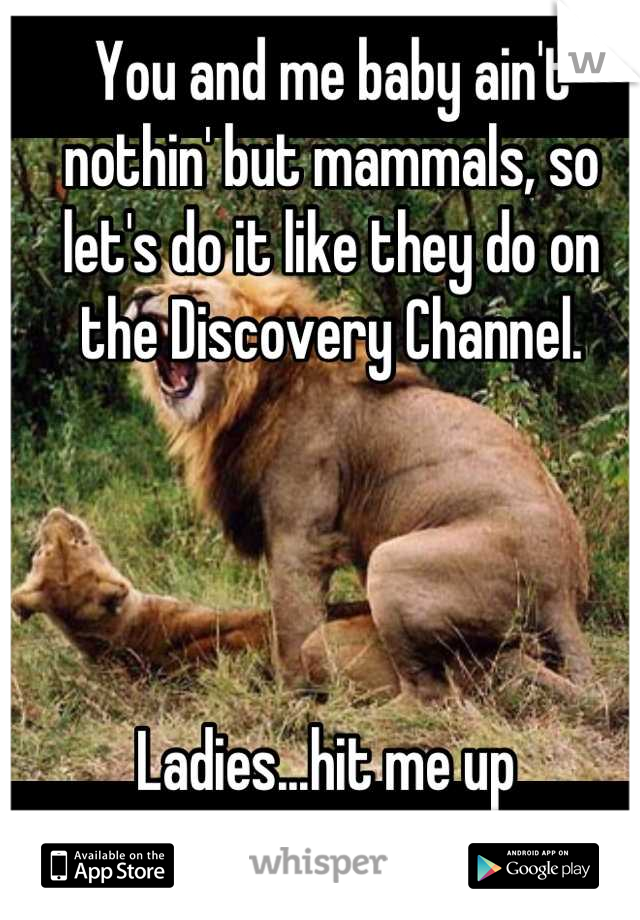 You and me baby ain't nothin' but mammals, so let's do it like they do on the Discovery Channel. 




Ladies...hit me up 
