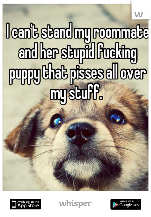I can't stand my roommate and her stupid fucking puppy that pisses all over my stuff. 