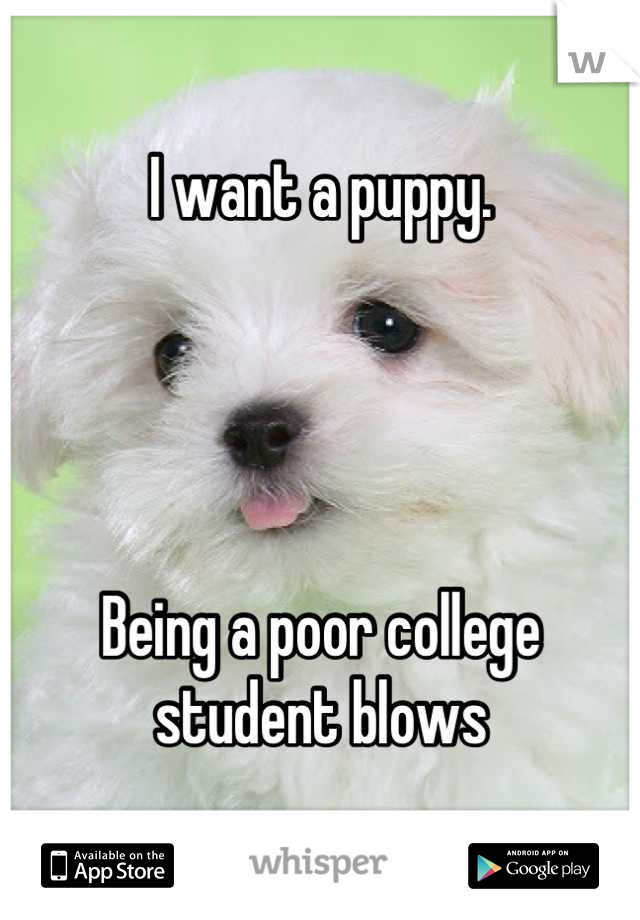 I want a puppy. 




Being a poor college student blows