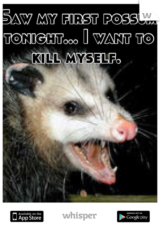Saw my first possum tonight... I want to kill myself. 