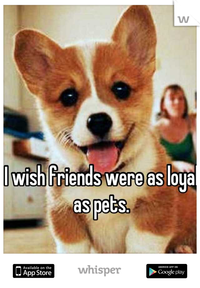 I wish friends were as loyal as pets.