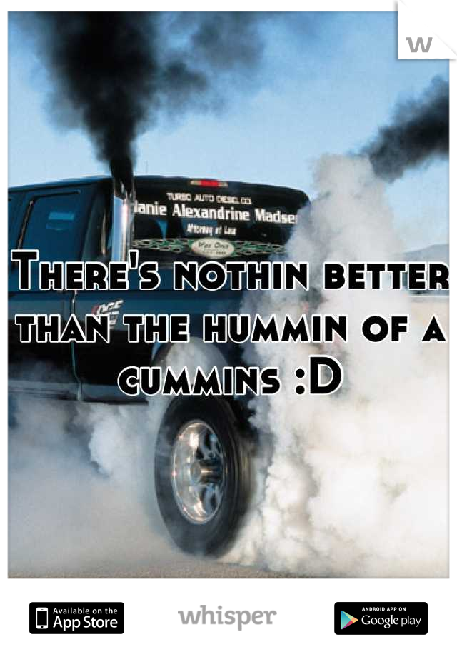 There's nothin better than the hummin of a cummins :D