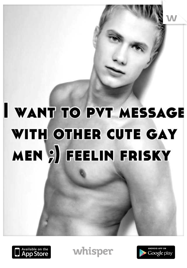 I want to pvt message with other cute gay men ;) feelin frisky 