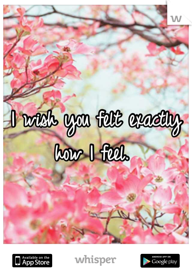 I wish you felt exactly how I feel. 