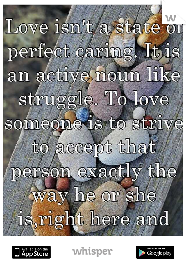 Love isn't a state of perfect caring. It is an active noun like struggle. To love someone is to strive to accept that person exactly the way he or she is,right here and  now.