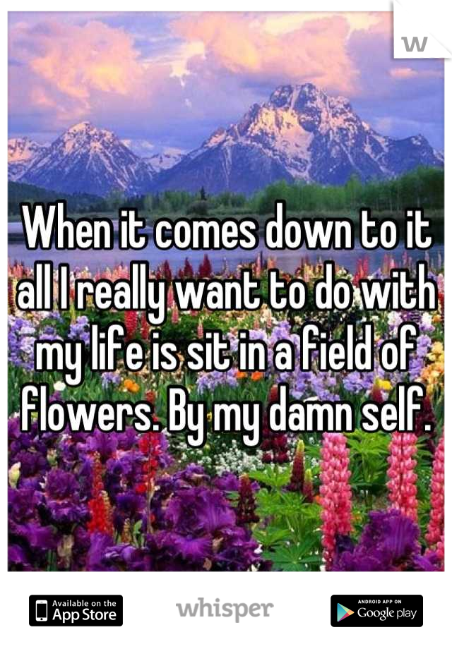 When it comes down to it all I really want to do with my life is sit in a field of flowers. By my damn self.