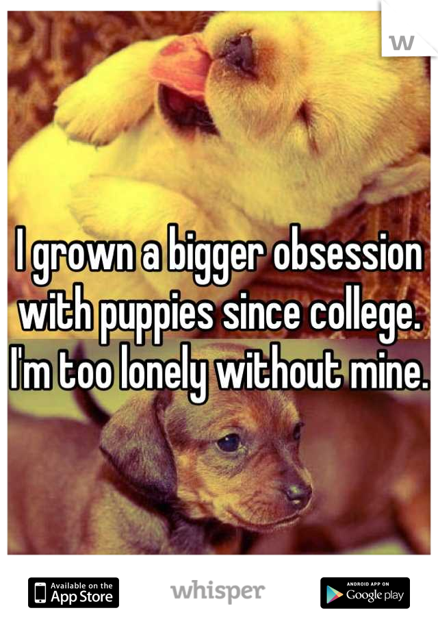 I grown a bigger obsession with puppies since college. I'm too lonely without mine.
