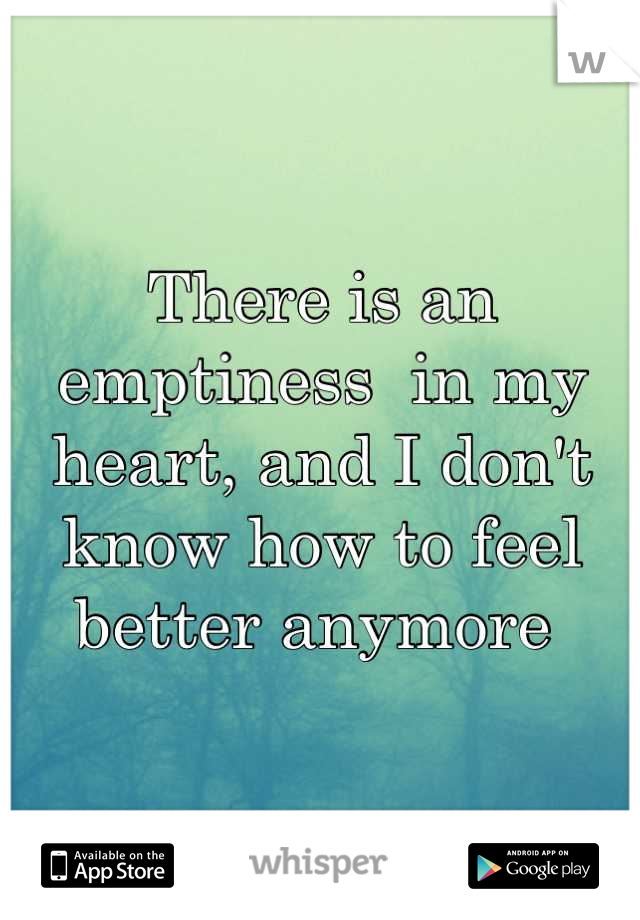 There is an emptiness  in my heart, and I don't know how to feel better anymore 