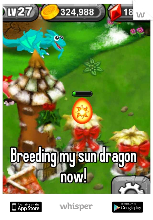 Breeding my sun dragon now!