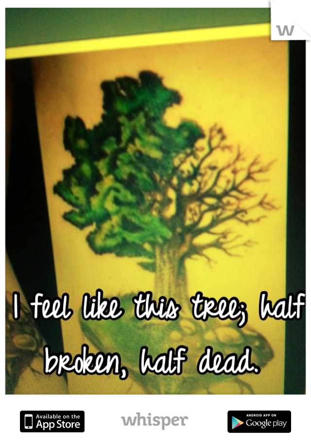I feel like this tree; half broken, half dead. 