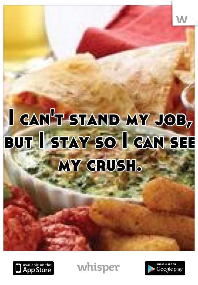 I can't stand my job, but I stay so I can see my crush.