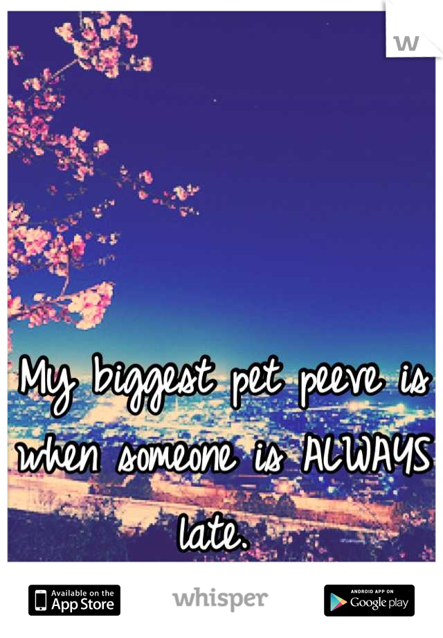 My biggest pet peeve is when someone is ALWAYS late. 