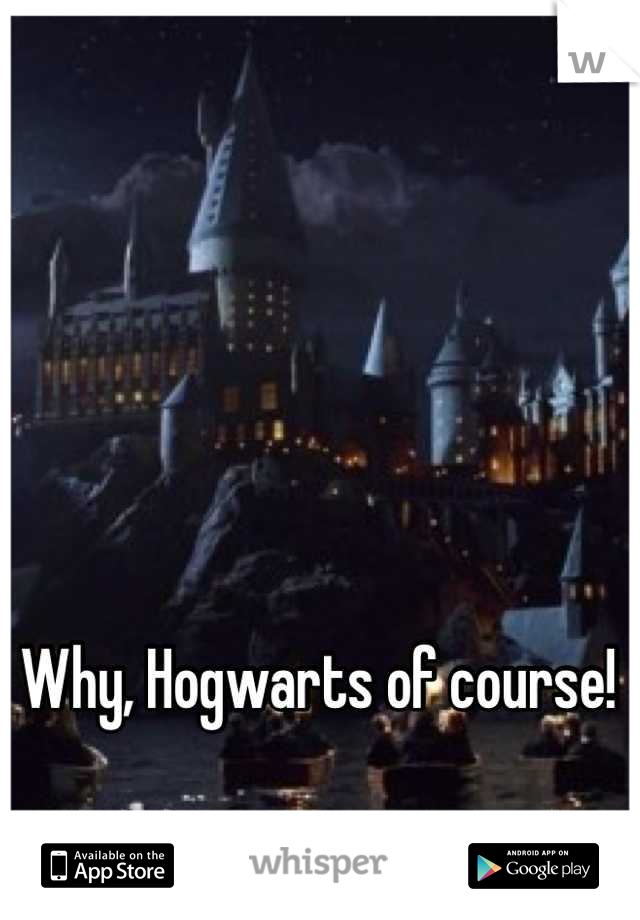 Why, Hogwarts of course!