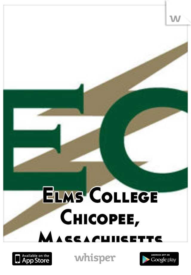 Elms College
Chicopee, Massachusetts