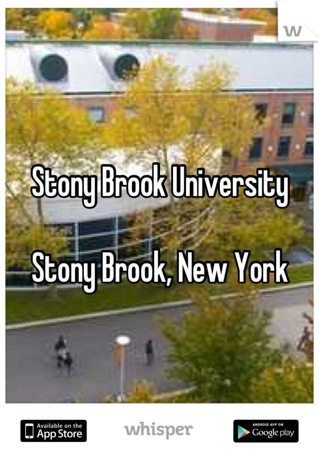 Stony Brook University

Stony Brook, New York