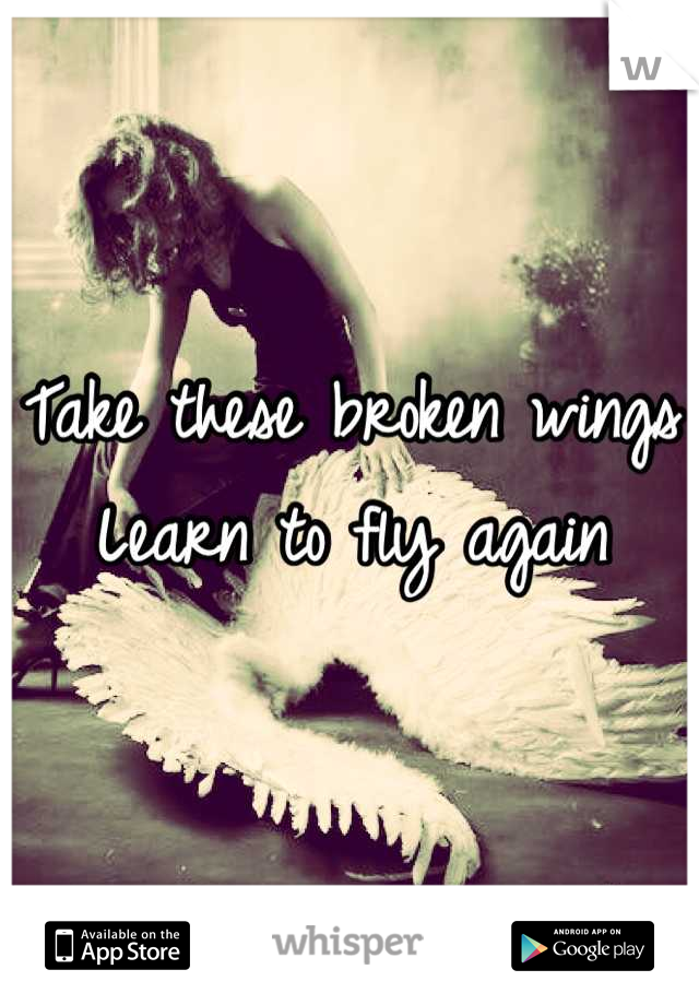 Take these broken wings
Learn to fly again