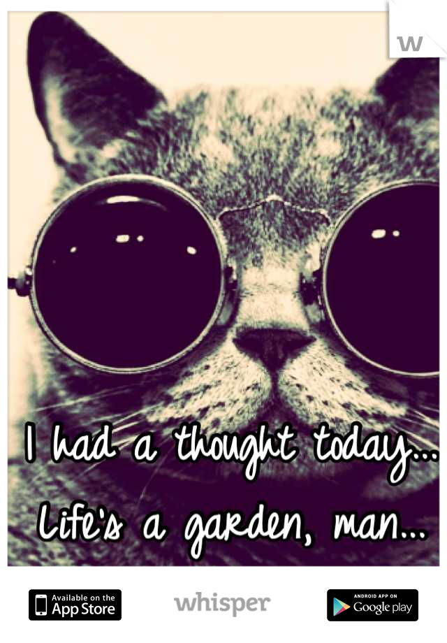 I had a thought today...
Life's a garden, man...
DIG IT